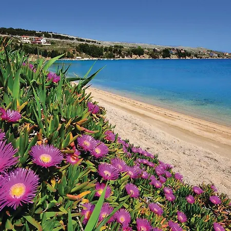 Apartman Front In Pag With Wifi *