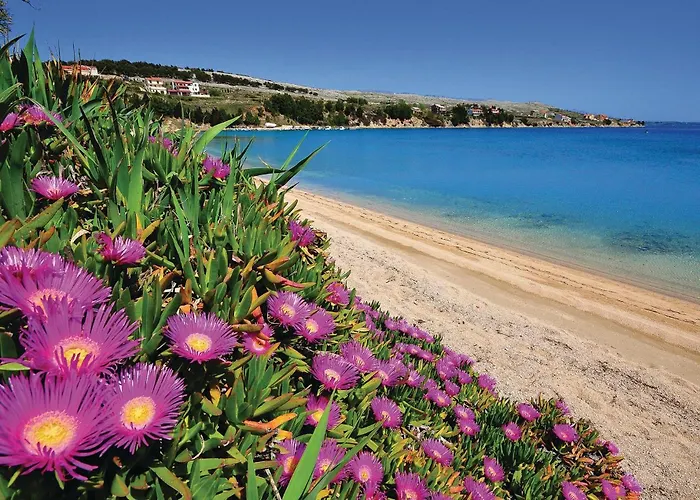 公寓 Front In Pag With Wifi *